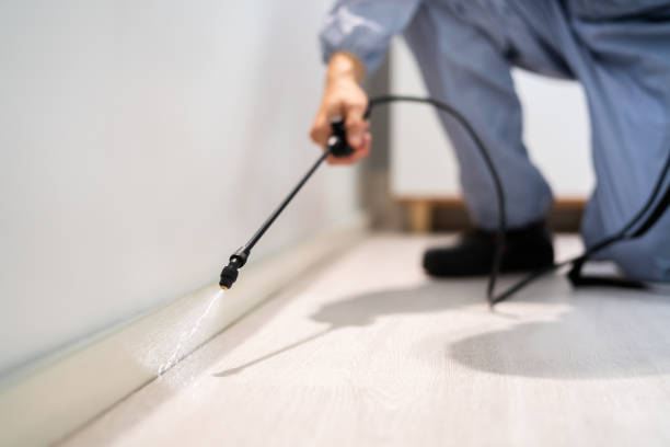 Licensed Termite Control service in Pocono Ranch Lands, PA - Nex Pest Control