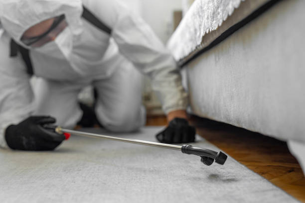 Professional Termite Control technician working in Pocono Ranch Lands, PA