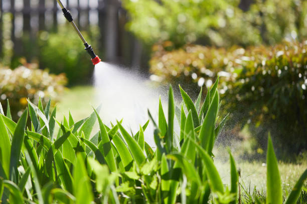 24/7 Emergency Termite Control experts in Pocono Ranch Lands, PA