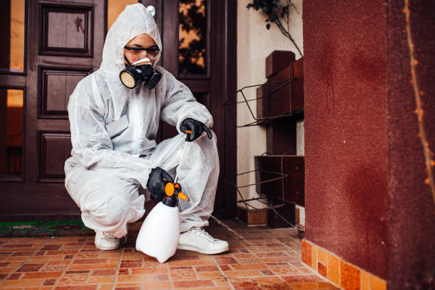 Reliable Termite Control contractor in Pocono Ranch Lands, PA by Nex Pest Control